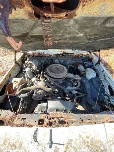 1980 OLDSMOBILE CUTLASS Location - GM - Row 31 - Stock # H50638