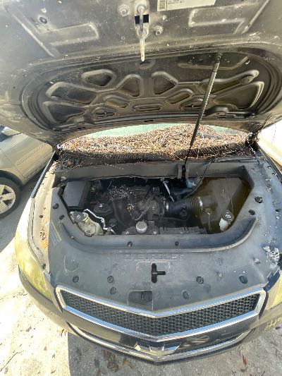 2010 Chevrolet Traverse Location - GM - Row 37 - Stock # H51476