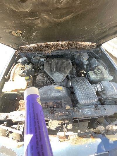 1994 Buick Roadmaster Wagon Location - GM - Row 29 - Stock # H51937