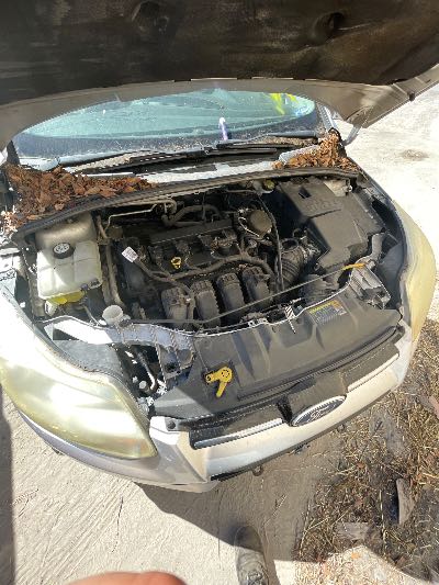 2012 Ford Focus Location - Ford - Row 34 - Stock # H51948