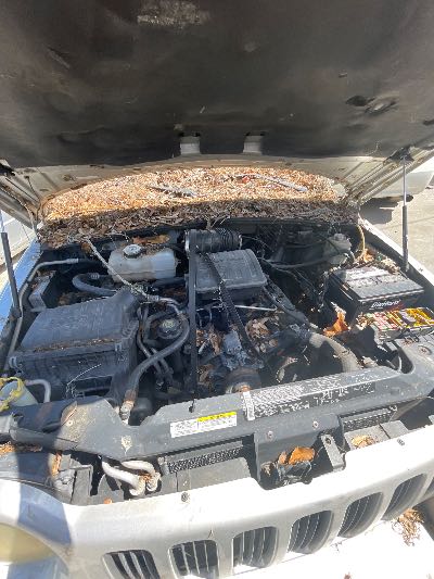 2003 Jeep Liberty Location - Chrysler - Row 45 - Stock # H51992