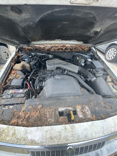 1992 Mercury Grand Marquis Location - Ford - Row 27 - Stock # H52407