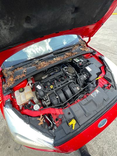 2015 Ford Focus Location - Ford - Row 28 - Stock # H52444
