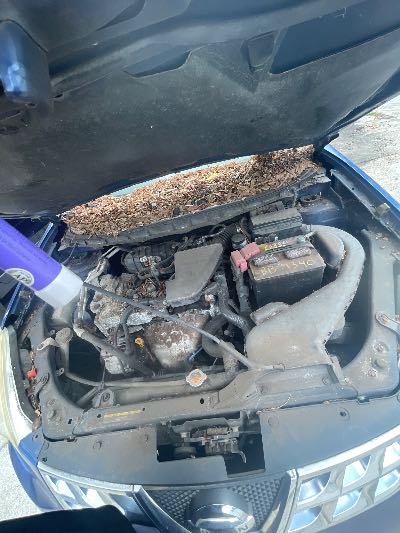 2011 Nissan Rogue Location - Imports - Row 2 - Stock # H52518