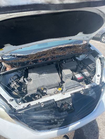 2011 Toyota Sienna Location - Imports - Row 5 - Stock # H52553