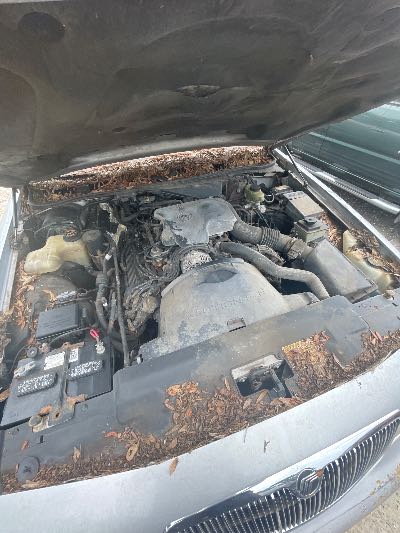 1996 Mercury Grand Marquis Location - Ford - Row 30 - Stock # H52578