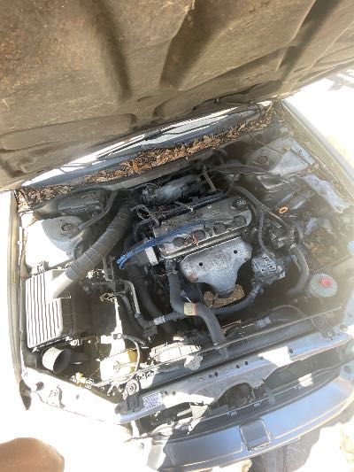 2000 Honda Accord Location - Imports - Row 8 - Stock # H52668