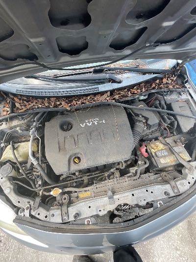 2010 Toyota Corolla Location - Imports - Row 7 - Stock # H53449