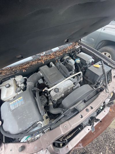 2008 Chevrolet TrailBlazer Location - GM - Row 37 - Stock # H45788