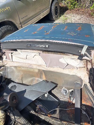 1981 Alfa Romeo Spider Veloce Location - Imports - Row 18 - Stock # H53635