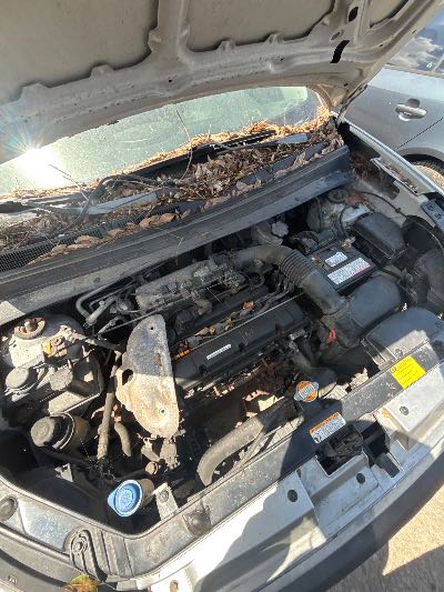 2010 Kia Soul Location - Imports - Row 20 - Stock # H53662