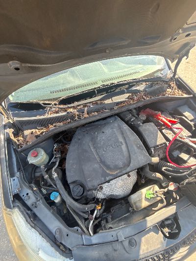 2010 Suzuki SX4 Location - Imports - Row 16 - Stock # H53704