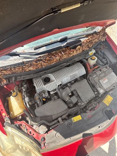 2011 Toyota Prius Location - Imports - Row 17 - Stock # H53734