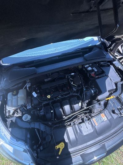 2014 Ford Focus Location - Ford - Row 31 - Stock # H53412