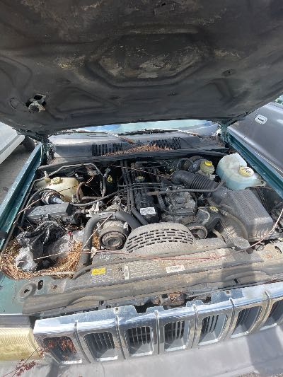 1997 Jeep Grand Cherokee Location - Chrysler - Row 38 - Stock # H53996